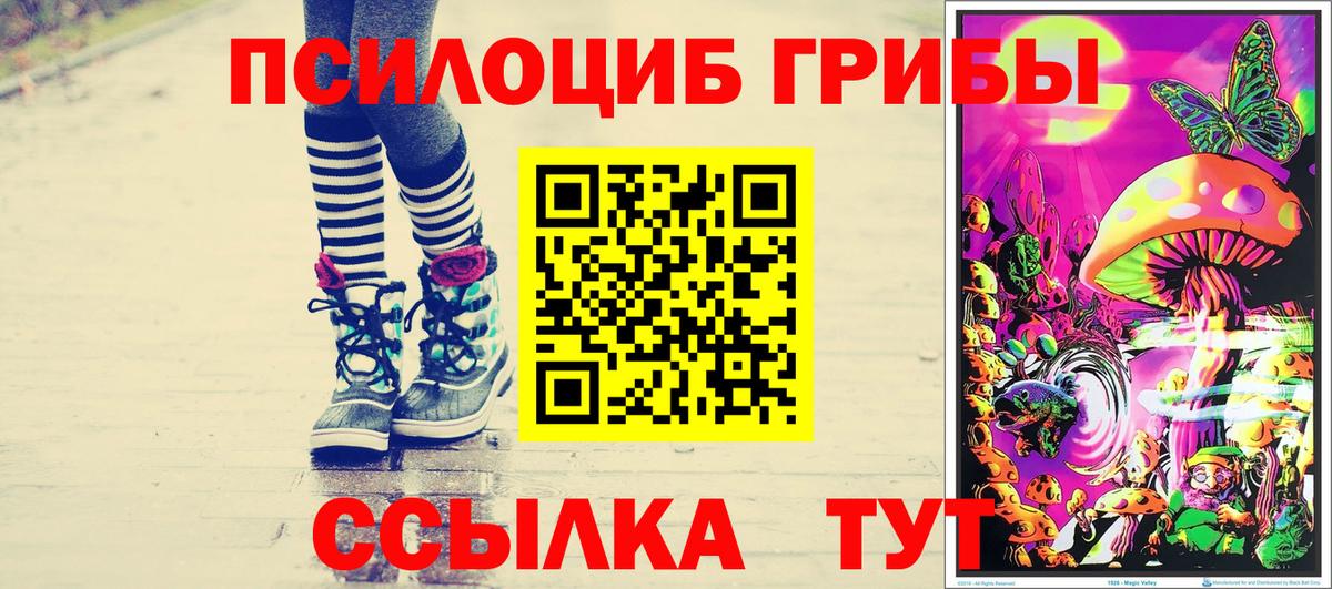 Галлюциногенные грибы мухоморы Канаш